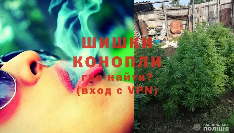 MEGA зеркало  Прохладный  маркетплейс официальный сайт  Бошки марихуана SATIVA & INDICA 